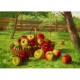 Karl Vikas: Apple Harvest