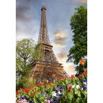 Puzzle  Grafika-F-30824 Eiffel Tower, France