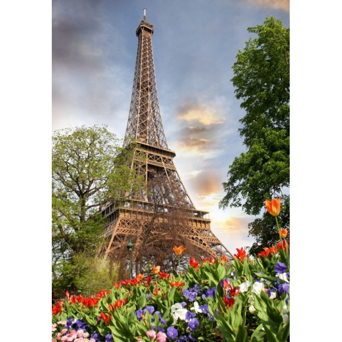 Eiffel Tower, France