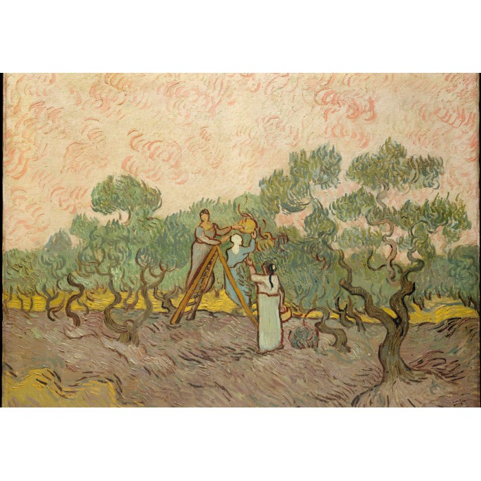 Van Gogh: Women Picking Olives,1889