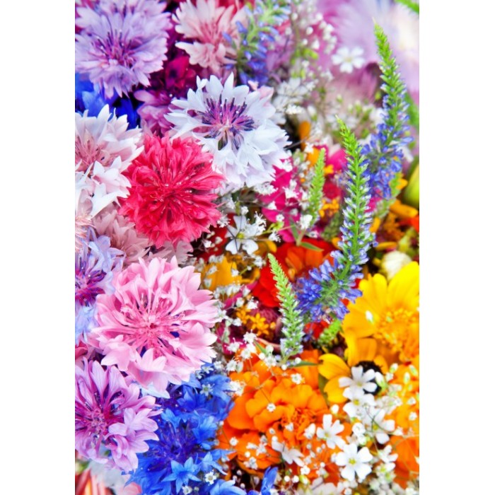 Puzzle  Grafika-F-31110 Flower Blast