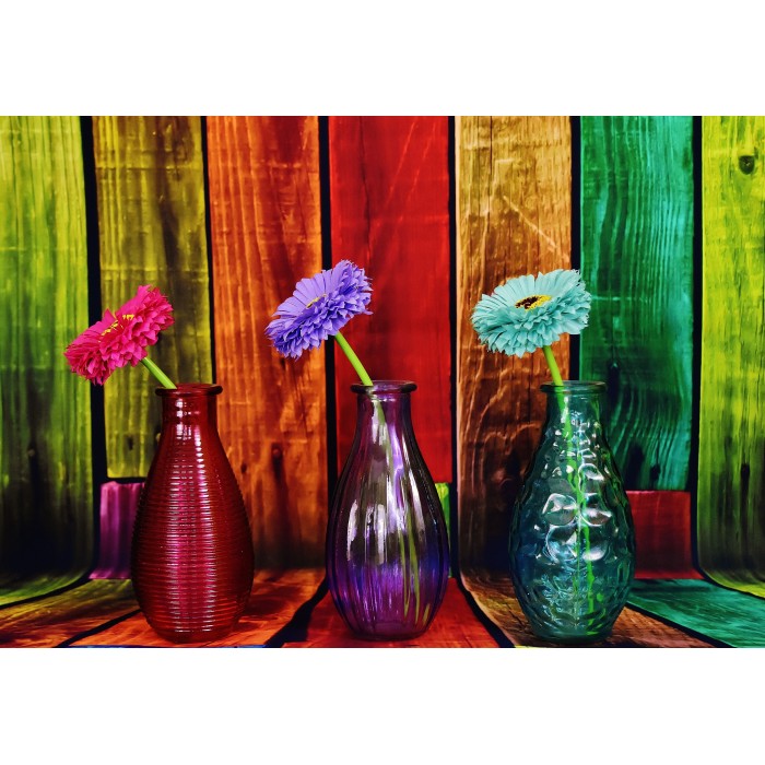 Flowered and Colorful Vases