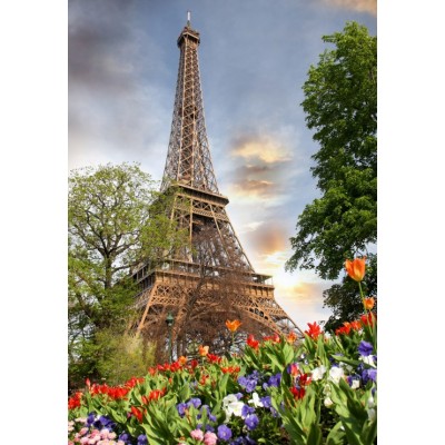 Puzzle Grafika-F-31580 Eiffel Tower, France