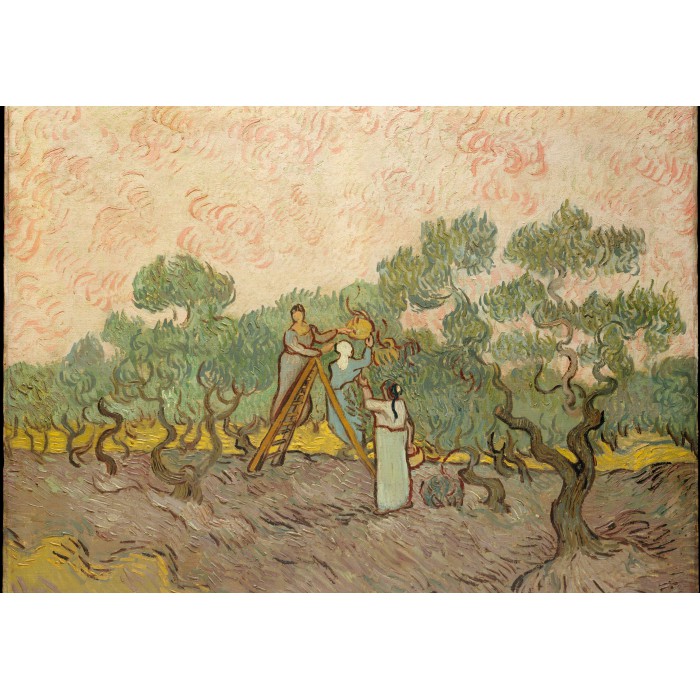 Puzzle  Grafika-F-31637 Van Gogh: Women Picking Olives,1889