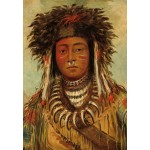 Puzzle  Grafika-F-31668 George Catlin: Boy Chief - Ojibbeway, 1843