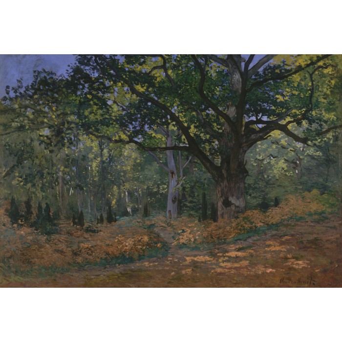 XXL Pieces - Claude Monet: Fontainebleau, 1865
