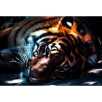 Puzzle  Grafika-Kids-00965 XXL Pieces - Tiger