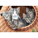 Puzzle   Kittens in a Basket