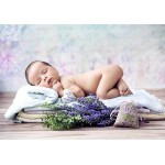 Puzzle   Konrad Bak: Baby Lavender