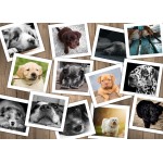 Puzzle   Magnetic Pieces - Dogs