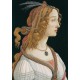 Sandro Botticelli: Portrait of a young Woman, 1494