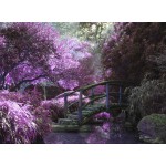 Zen Bridge 2000 piece jigsaw puzzle