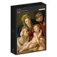 Agnolo Bronzino: The Holy Family, 1527/1528