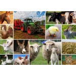 Puzzle   Collage - Farmyard Animals