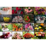 Puzzle   Collage - Flowers