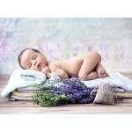 Puzzle  Grafika-F-30444 Konrad Bak: Baby Lavender