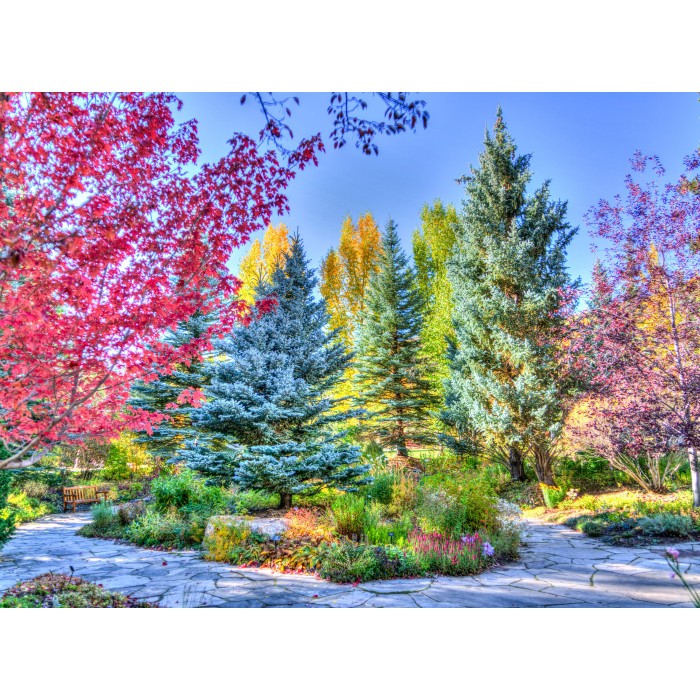 Puzzle Grafika-F-30793 Colorful Forest, Colorado, USA