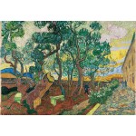 Puzzle  Grafika-F-32769 Van Gogh - Le parc de l'hôpital, 1889