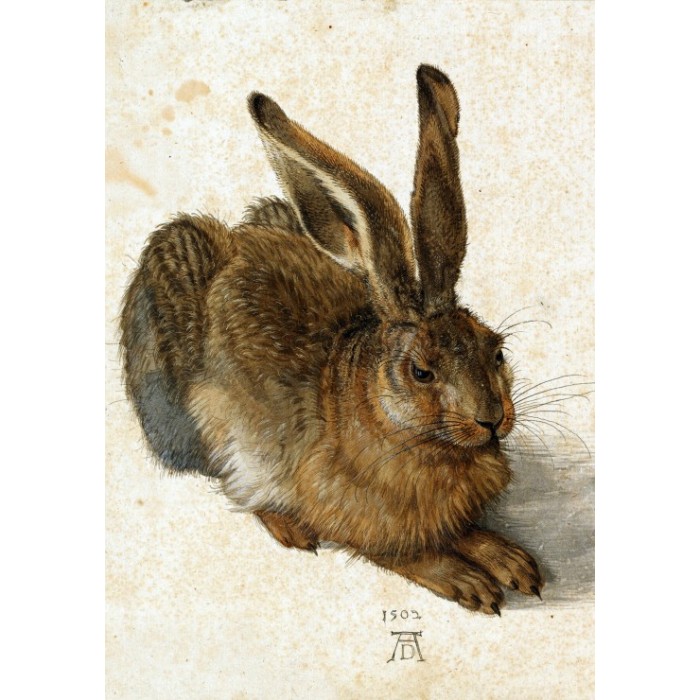 Puzzle Grafika-F-32812 Albrecht Dürer - The Rabbit, 1502