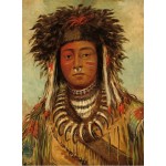 Puzzle   George Catlin: Boy Chief - Ojibbeway, 1843
