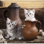 Puzzle   Kitten in Pot