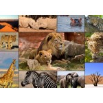 Comprar Puzzle Castorland Santuário do Tigre de 300 Peças -  Castorland-B-030484