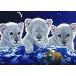 Comprar Puzzle Castorland Santuário do Tigre de 300 Peças -  Castorland-B-030484