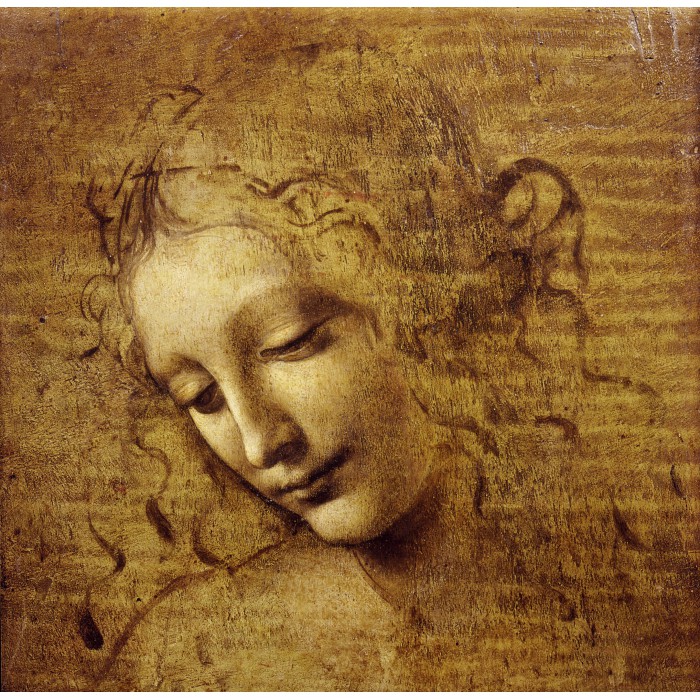 Leonardo da Vinci : The Face of Giovane Fanciulla, 1508