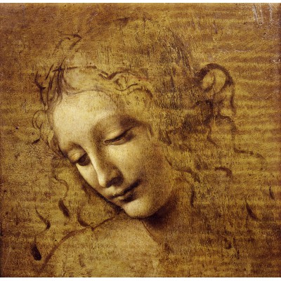 Puzzle Grafika-T-02324 Leonardo da Vinci : The Face of Giovane Fanciulla, 1508