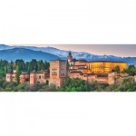 Puzzle   Alhambra, Spain