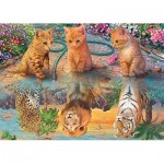 Puzzle   Premium Collection - A Kitten's Dream