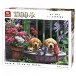 Puzzle   Puppies drinking Water