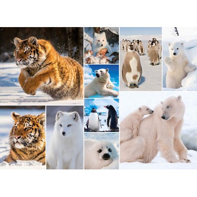 Puzzle King-Puzzle-55870 Collage - Artic Life