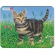 Frame Jigsaw Puzzle - Cat