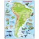 Frame Jigsaw Puzzle - South America (in German)