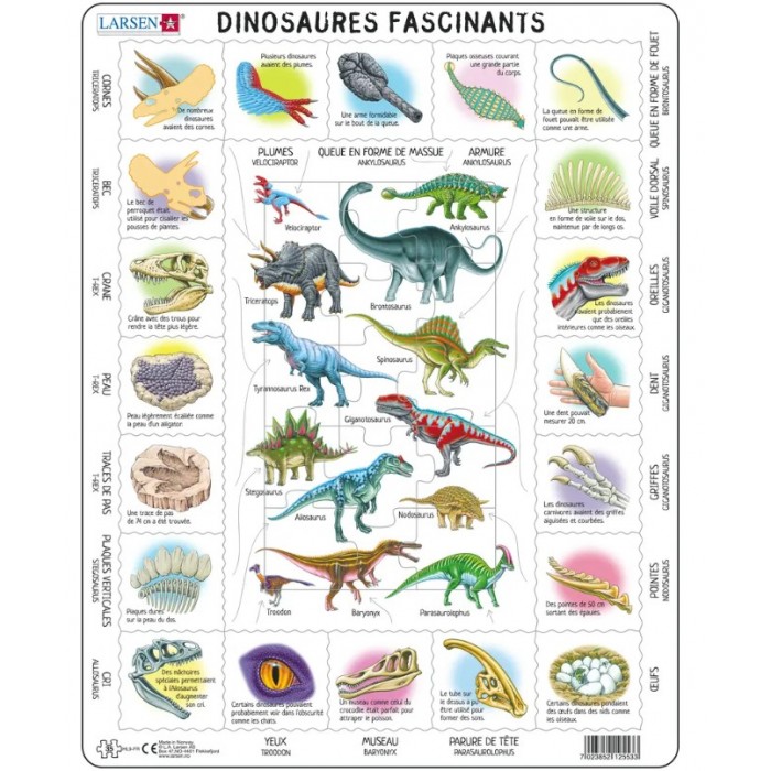 Frame Puzzle - Dinosaurs (in French)