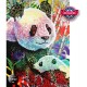 Rainbow Panda