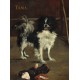 Edouard Manet: Tama: The Japanese Dog, 1875