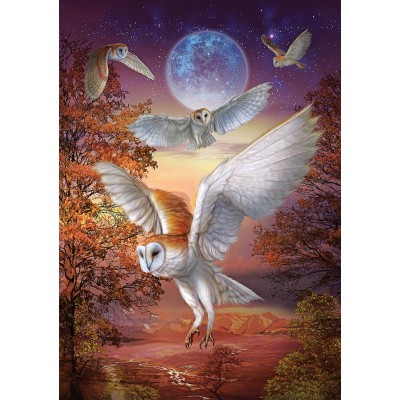 Puzzle Moonlight Owls Art-Puzzle-5273 1000 pieces Jigsaw Puzzles ...