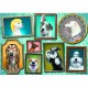 Doggies Gallery