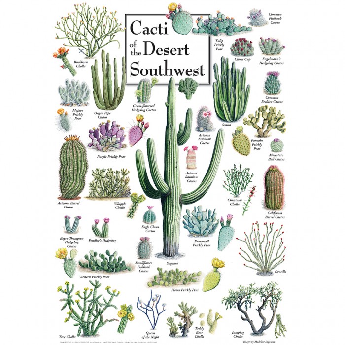 Puzzle  Master-Pieces-71972 Cacti of the Desert Southwest