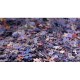 Mystery Puzzle without Box & without Image - Bag of 1000 Pieces