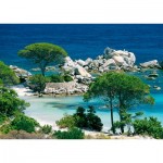  Nathan-00914 Jigsaw Puzzle - 1000 Pieces - Corsica : Palombaggia Beach