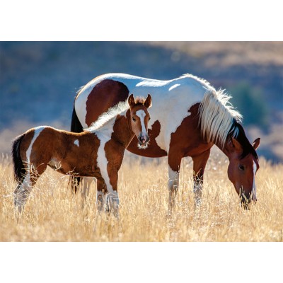 Puzzle Nathan-00928 Mare and Her Foal