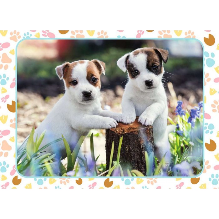 The Little Jack Russells