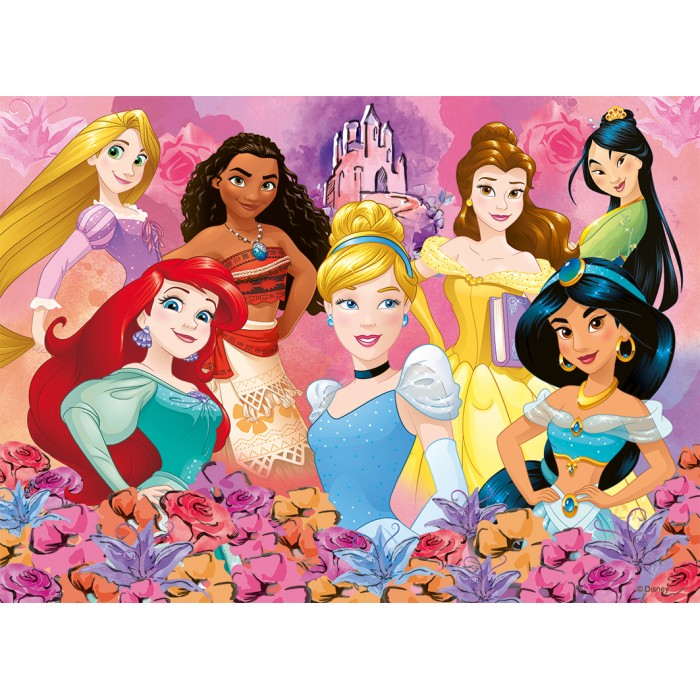 The Disney Princesses