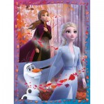 Puzzle  Nathan-86864 Frozen II