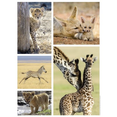 Puzzle Nathan-87150 Wild Animals Babies