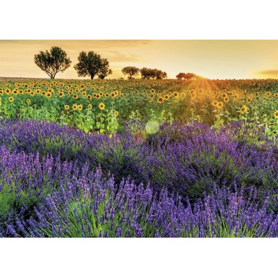 Puzzle Nathan-87575 Fields of Provence