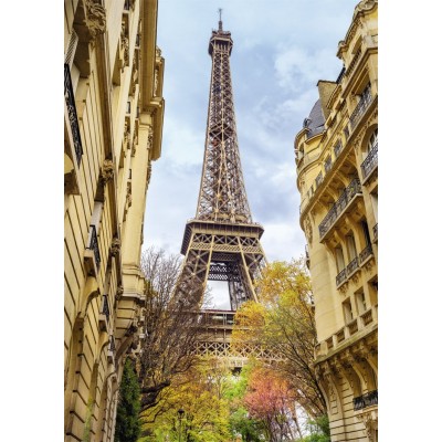 Puzzle Nathan-87784 Eiffel Tower, Paris